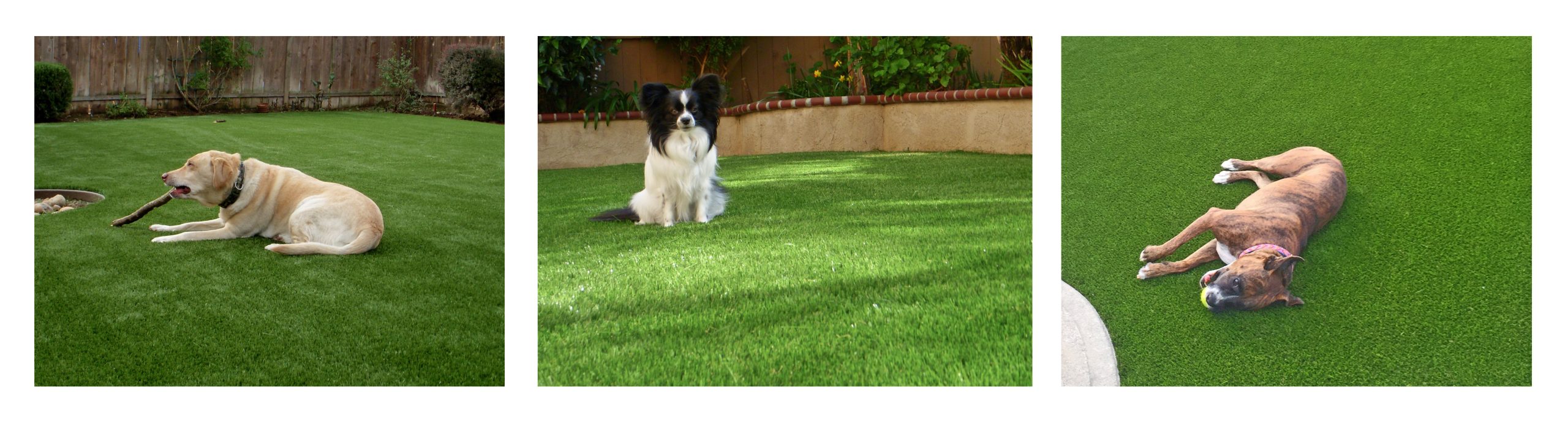 Artificial Turf for pets San Diego